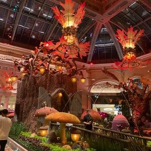 Meet your Posher, Manpreet